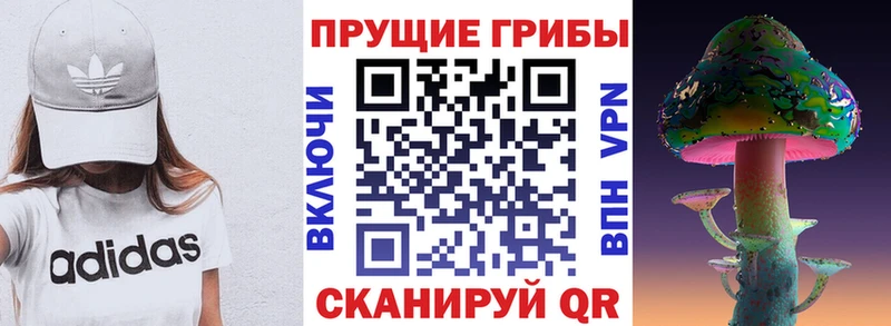 Псилоцибиновые грибы мухоморы  ОМГ ОМГ сайт  дарк нет формула  Новое Девяткино 